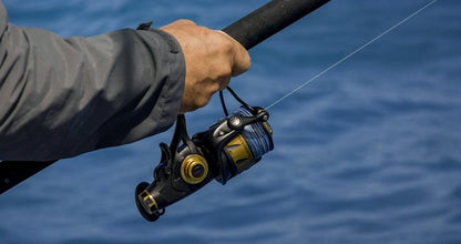 Penn Spinfisher VI Live Liner Reel